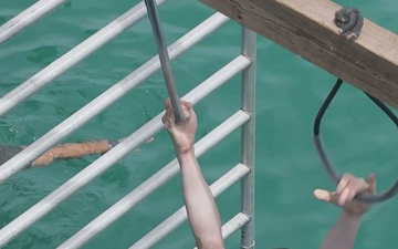 Caribbean Coastal Warrior: Dive Drills