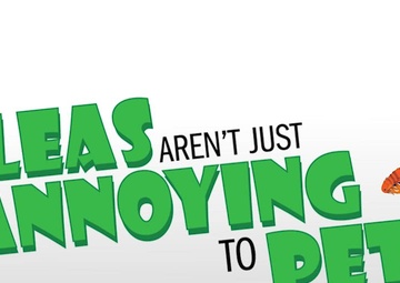 MHS Bug Week | Fleas