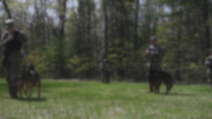 U.S. Army Military Working Dog symposium