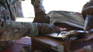 The Heart of the Rock Sustains the Fight for 3rd Infantry Division.