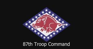 Arkansas National Guard Soldiers from the 216th Military Police Company, 871st Troop Command, 87th Troop Command participate in non-lethal weapons training on 13 May, 2023.