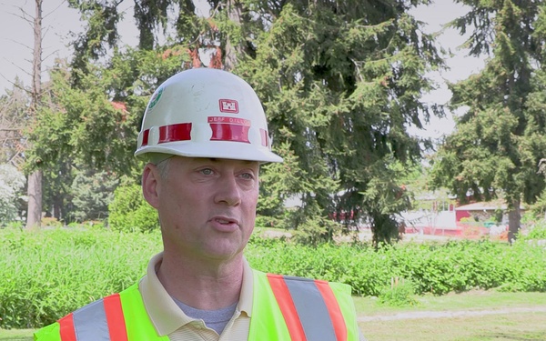 Mountlake Terrace Ballinger Park Aquatic Ecosystem Restoration Project