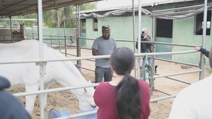 Sailors visit Warrior Road Ranch