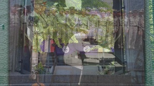 The Bonsho of Jodo-ji Part 3