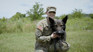JEMX 2023 Military Working Dogs training