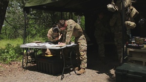 Multiple Launch Rocket Systems