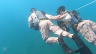 Caribbean Coastal Warrior: Taking a Plunge