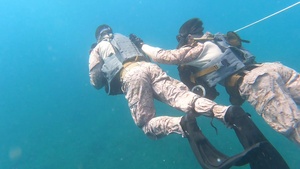 Caribbean Coastal Warrior: Taking a Plunge