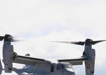 Osprey lands at JBPHH