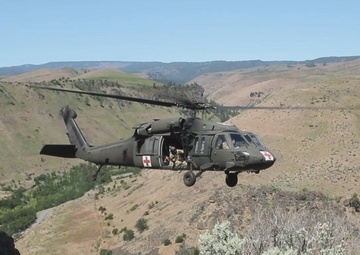 U.S. Army Flight Medics