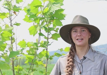 The Corps plants the seeds for success