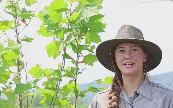 The Corps plants the seeds for success