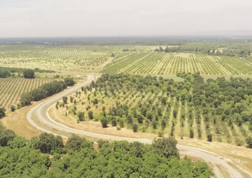 Hamilton City Levee Project (B-roll)