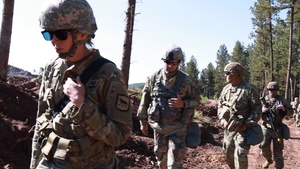 842nd Engineering Company Conducts Site Clearance Stringer