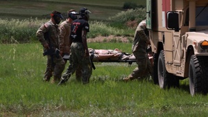Performing Immediate Lifesaving Measures Training Stringer