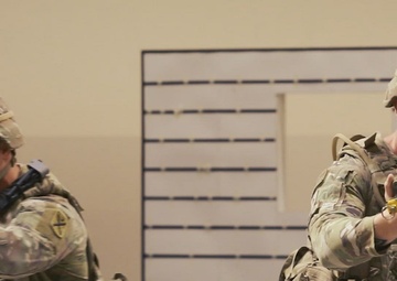 U.S. Army Central Celebrates the Army's Birthday