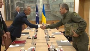 NATO Secretary General meets with Ukrainian Minister of Defence