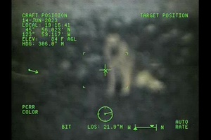 Coast Guard Air Station Astoria rescues German Shepard in Ecola Beach, OR
