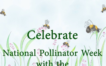Celebrate Pollinator Week