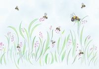 Pollinator Week Animation