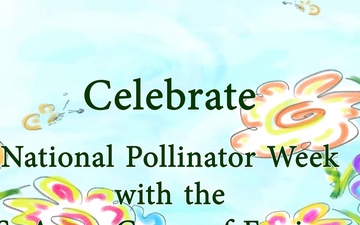 Celebrate Pollinator Week with USACE