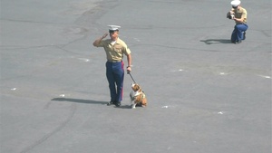 Echo Company Graduation at MCRD San Diego