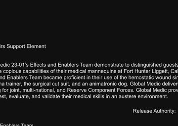 Global Medic Effects and Enablers Team