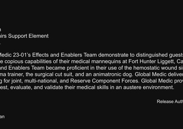 Global Medic Effects and Enablers Team