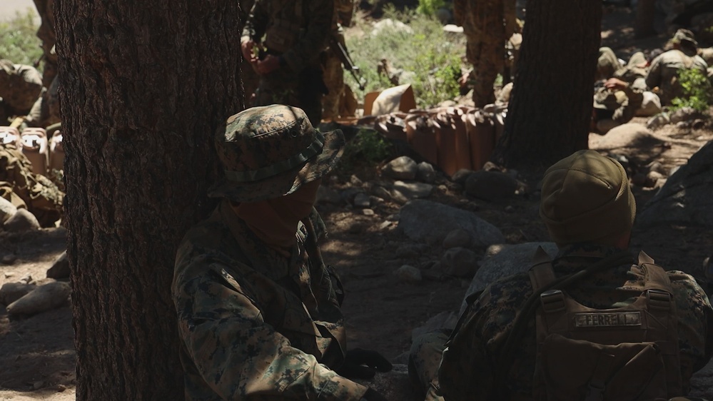 DVIDS - Video - Marine Forces Reserve conduct their final exercise for ...