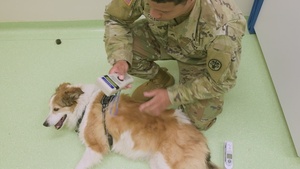 PCSing with Pets: Basic Requirements