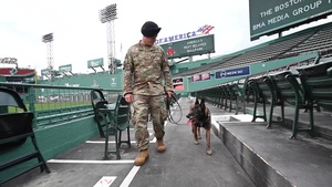 MWD Qquail retires from the Air Force