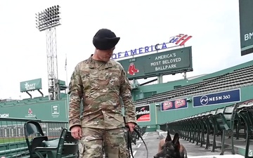 MWD Qquail retires from the Air Force