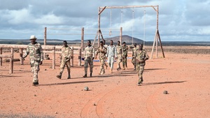 SFAB oversees obstacle course training at BIR