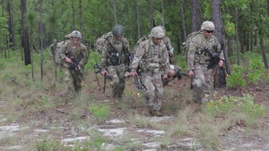 The NCO Crucible