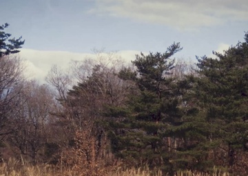 Resolute Dragon 23.1 Teaser