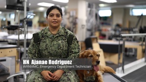 Walter Reed's Facility Dogs Make an Impact