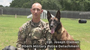 Military Working Dog In-Flight Care Training