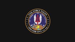 185th Aviation Brigade mass casualty training