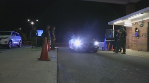 B-Roll: PMO conducts roadside safety checks at Camp Lejeune