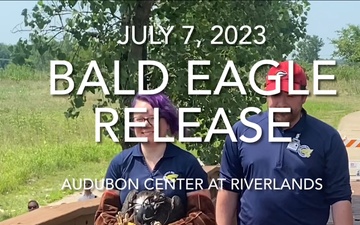 Bald Eagle Release at the Audubon Center at Riverlands