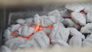 NSF Diego Garcia Barbeque Cookout