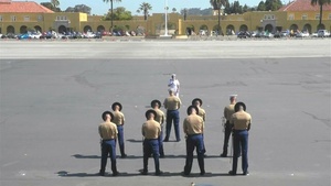 MCRD San Diego Delta Company Graduation