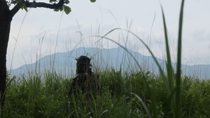 Shinka 23: Recon