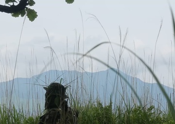 Shinka 23: Recon