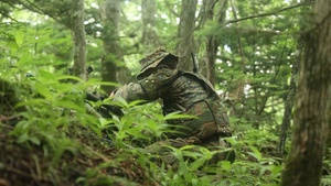 Shinka 23: Patrol