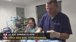Veterinarian talks what it's like to serve