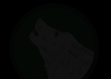 USAR Drill Sergeants in Action