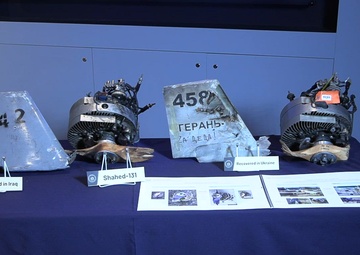 DIA UAV Display