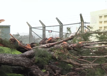 Damage to Plaza Housing from Typhoon Khanun