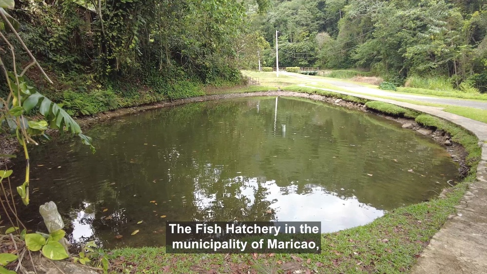 DVIDS - Video - FEMA allocated more than $6 million for Fish Hatchery ...